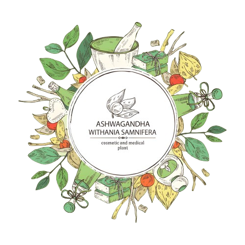 steptodown.com610934 removebg preview