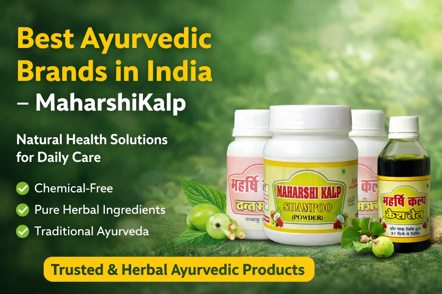 Read more about the article Best Ayurvedic Brands in India – MaharshiKalp